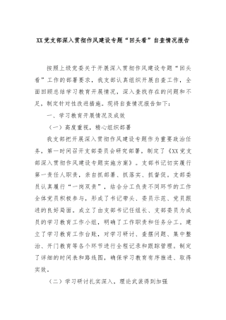 XX党支部深入贯彻作风建设专题“回头看”自查情况报告