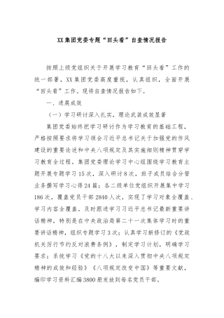 XX集团党委专题“回头看”自查情况报告
