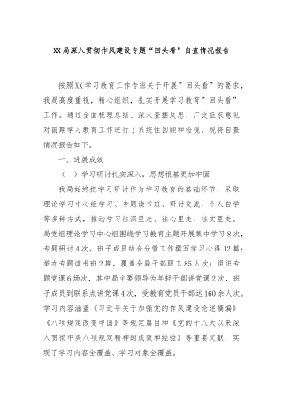 XX局深入贯彻作风建设专题“回头看”自查情况报告