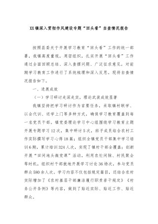 XX镇深入贯彻作风建设专题“回头看”自查情况报告