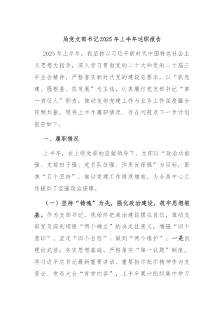 局党支部书记2025年上半年述职报告