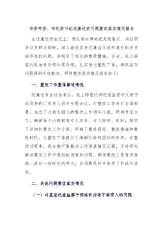 市委常委、市纪委书记述廉述责问题整改落实情况报告