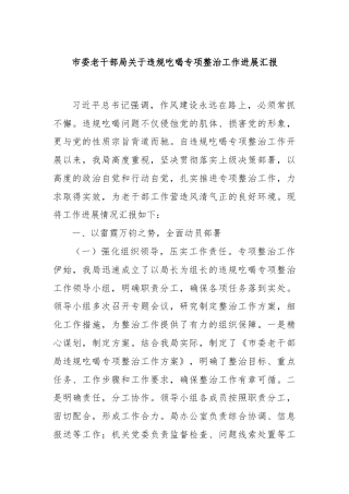 市委老干部局关于违规吃喝专项整治工作进展汇报