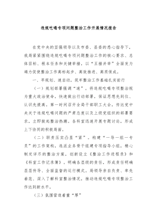 违规吃喝专项问题整治工作开展情况报告