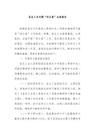 县总工会专题“回头看”自查报告