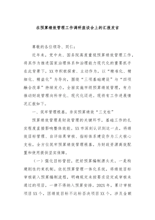 在预算绩效管理工作调研座谈会上的汇报发言