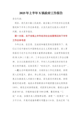 2025年上半年X镇政府工作报告
