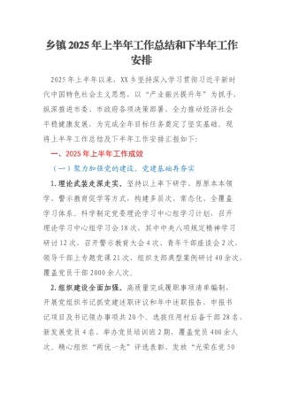 乡镇2025年上半年工作总结和下半年工作安排
