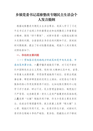 乡镇党委书记巡察整改专题民主生活会个人发言提纲