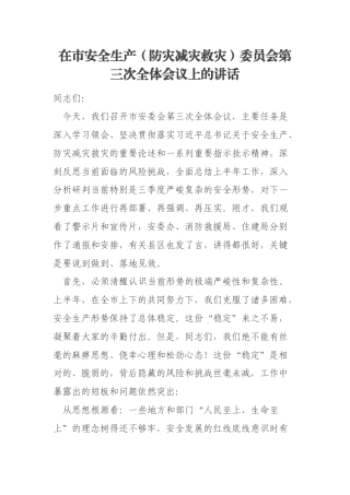 在市安全生产（防灾减灾救灾）委员会第三次全体会议上的讲话