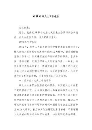 XX镇XX年人大工作报告