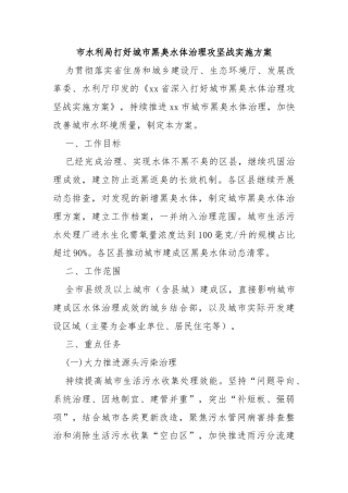 市水利局打好城市黑臭水体治理攻坚战实施方案