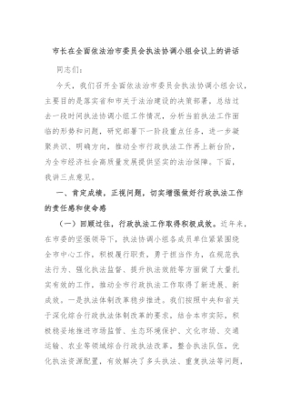 市长在全面依法治市委员会执法协调小组会议上的讲话