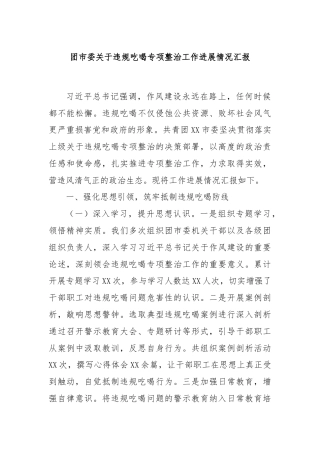 团市委关于违规吃喝专项整治工作进展情况汇报