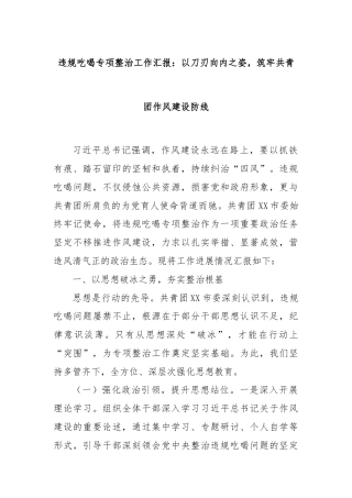 违规吃喝专项整治工作汇报：以刀刃向内之姿，筑牢共青团作风建设防线