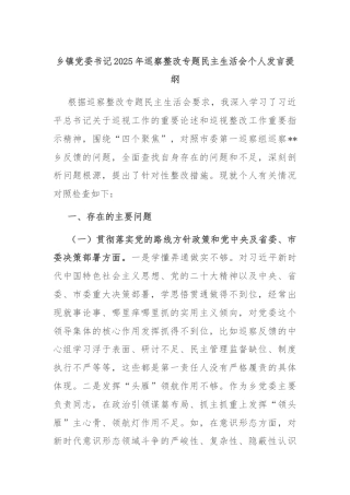 乡镇党委书记2025年巡察整改专题民主生活会个人发言提纲