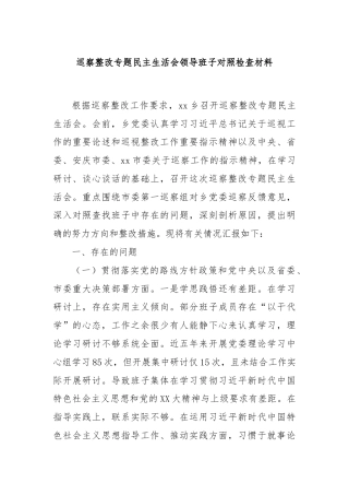 巡察整改专题民主生活会领导班子对照检查材料