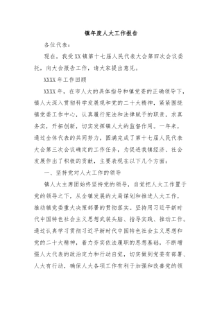 镇年度人大工作报告