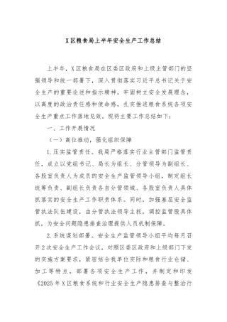 X区粮食局上半年安全生产工作总结