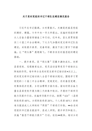 关于某村党组织书记干部队伍建设情况报告