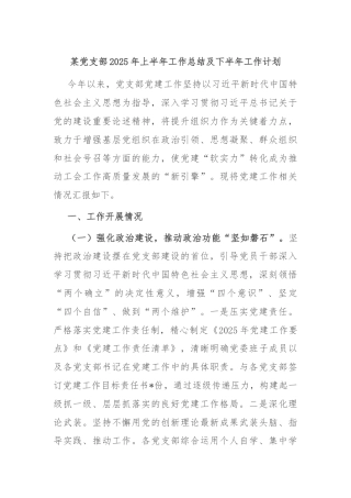 某党支部2025年上半年工作总结及下半年工作计划
