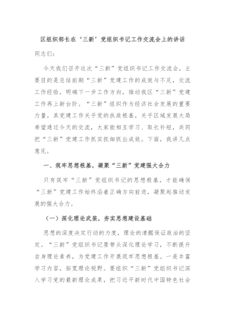 区组织部长在‘三新’党组织书记工作交流会上的讲话