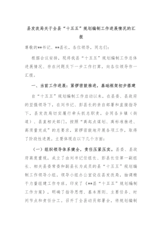 县发改局关于全县“十五五”规划编制工作进展情况的汇报
