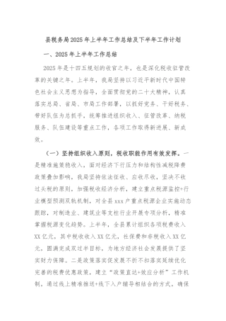 县税务局2025年上半年工作总结及下半年工作计划
