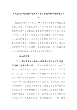 乡党委关于巡察整改专题民主生活会领导班子对照检查材料