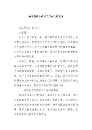 在校园安全推进工作会上的发言