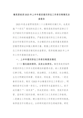 镇党委政府2025年上半年落实意识形态工作责任制情况自查报告