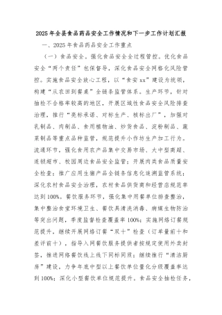 2025年全县食品药品安全工作情况和下一步工作计划汇报
