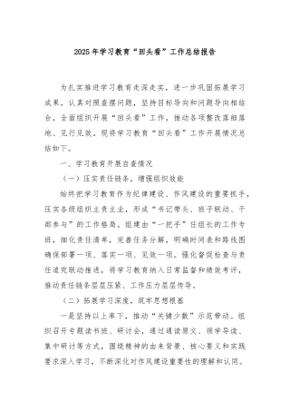 2025年学习教育“回头看”工作总结报告