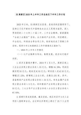 XX高新区2025年上半年工作总结及下半年工作计划