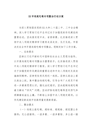 XX市违规吃喝专项整治行动方案
