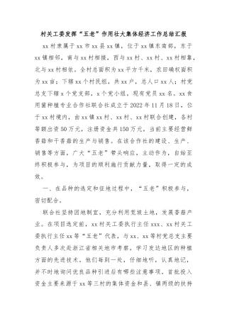 村关工委发挥“五老”作用壮大集体经济工作总结汇报
