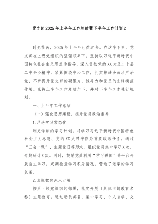 党支部2025年上半年工作总结暨下半年工作计划2