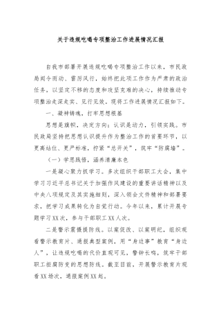 关于违规吃喝专项整治工作进展情况汇报