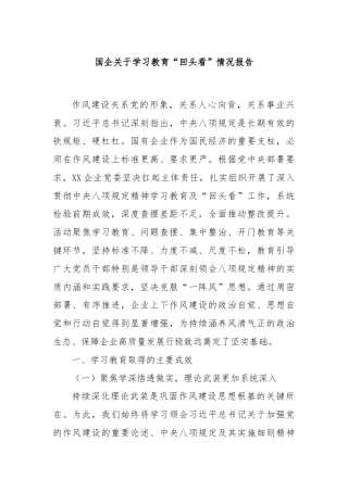 国企关于学习教育“回头看”情况报告