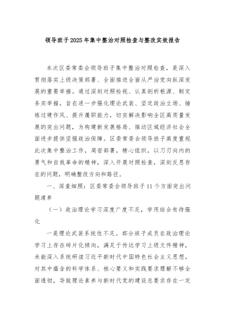 领导班子2025年集中整治对照检查与整改实效报告