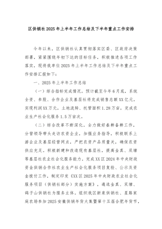 区供销社2025年上半年工作总结及下半年重点工作安排