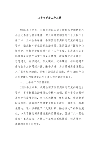 上半年党建工作总结（2025 ）