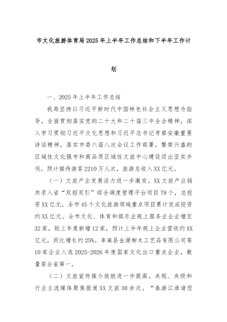 市文化旅游体育局2025年上半年工作总结和下半年工作计划