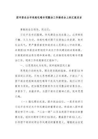 团市委在全市违规吃喝专项整治工作推进会上的汇报发言