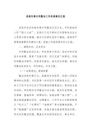 违规吃喝专项整治工作进展情况汇报