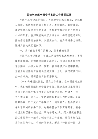 县妇联违规吃喝专项整治工作进展汇报