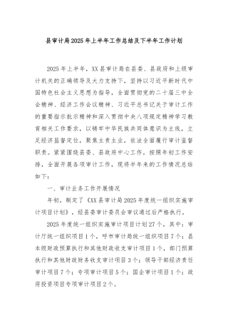 县审计局2025年上半年工作总结及下半年工作计划