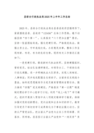 县综合行政执法局2025年上半年工作总结