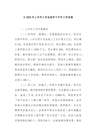 乡2025年上半年工作总结和下半年工作安排