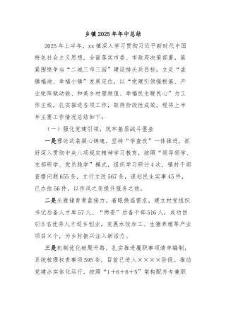 乡镇2025年年中总结